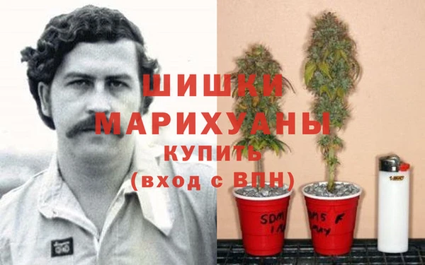 синтетический гашиш Алексин