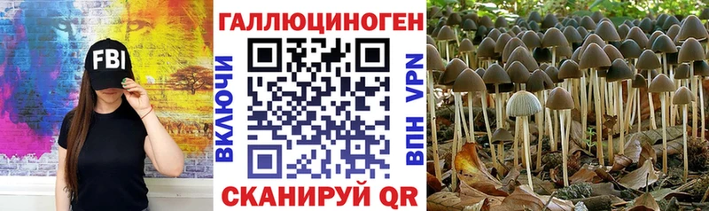Псилоцибиновые грибы мицелий Боровичи