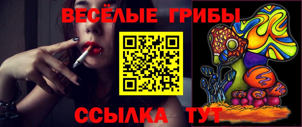 Псилоцибиновые грибы Psilocybine cubensis Боровичи