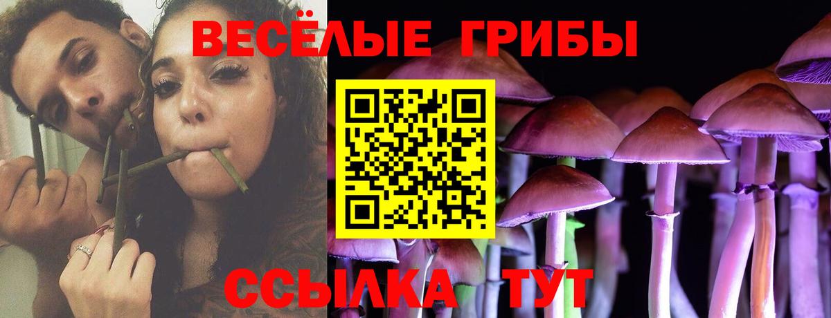 Галлюциногенные грибы мицелий  Вход с VPN  Боровичи 