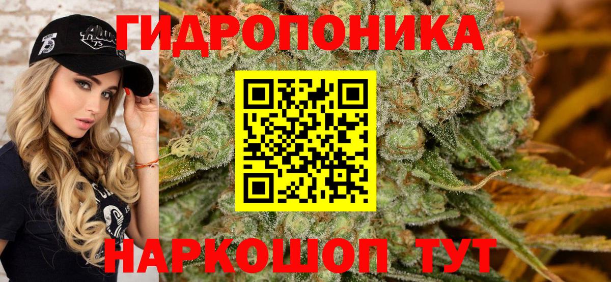 Каннабис гибрид  Канабис Bruce Banner  Бошки марихуана VHQ  Шишки марихуана AK-47  Боровичи  Вход с VPN 